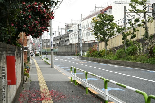 A quiet street in a Japanese neighborhood, lined with blooming camellia flowers and a green and white railing. In the distance, a train line runs parallel to the road, with of traditional.