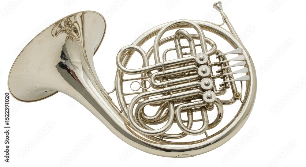 Fototapeta premium Isolated Studio Shot of a Shiny Gold Brass French Horn Musical Instrument against White Background