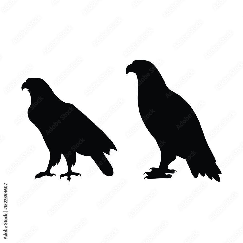 Fototapeta premium Eagle silhouette, Animal silhouette, Animal eagle