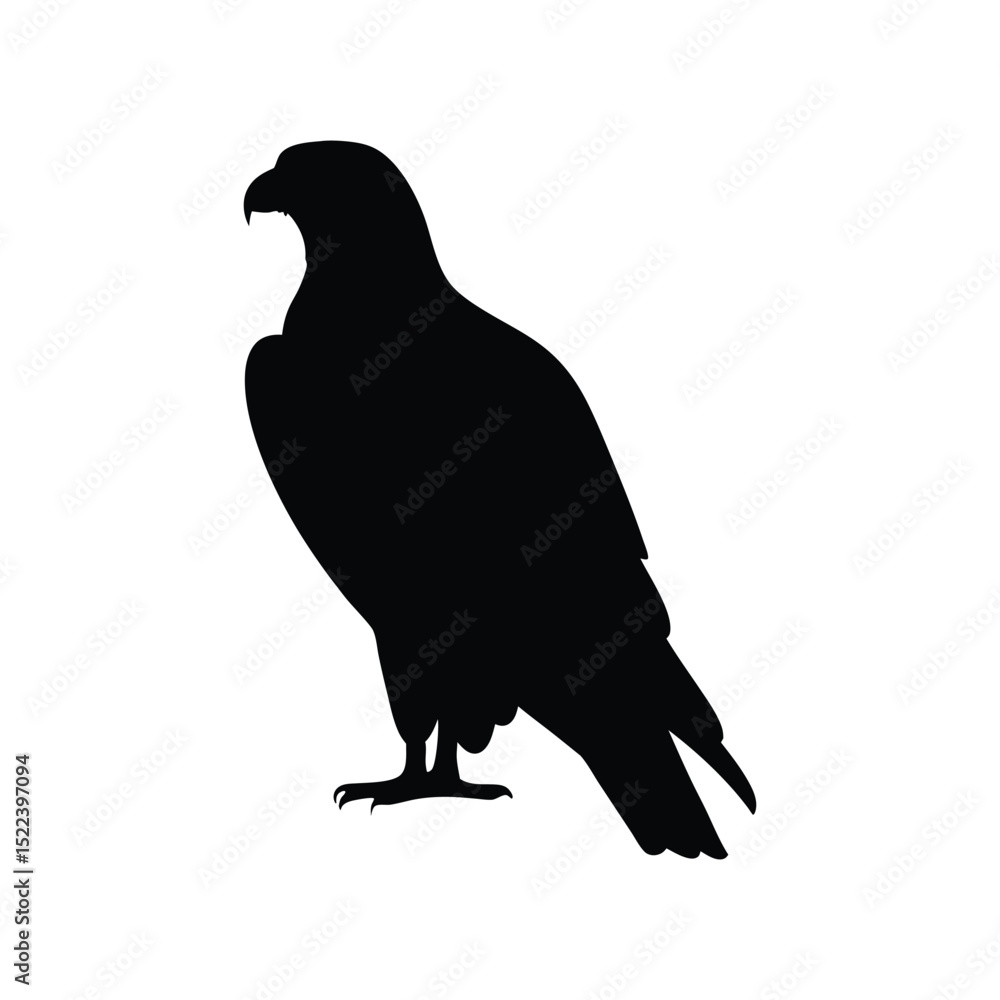 Fototapeta premium Eagle silhouette, Animal silhouette, Animal eagle