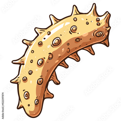 sea ​​cucumber, underwater animal, vector, transparent background, organism, holothuroidea, icon, nature, shape, creature
