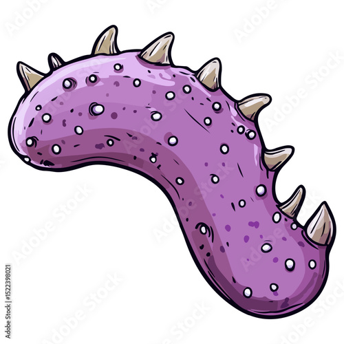 sea ​​cucumber, underwater animal, vector, transparent background, organism, holothuroidea, icon, nature, shape, creature