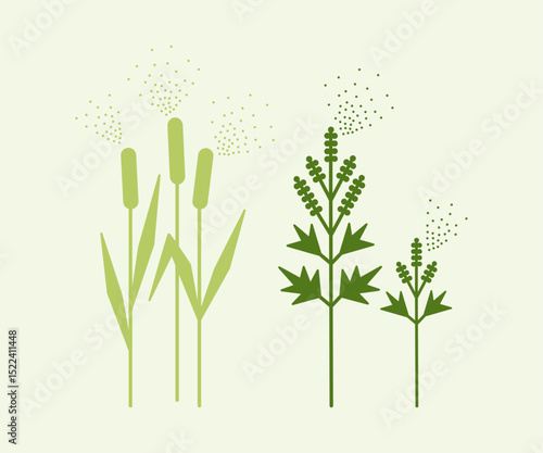 Pollinating plants that cause allergy, vector illustration.