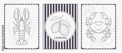 Set of trendy summer posters in engraved grunge style. Vintage prints with doodle-style, a lobster, a crab, and lemons. Vacation and beach concept. Chic design for cards, wall art, and branding. 