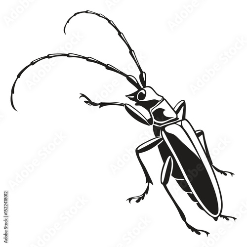 Longhorn Beetle Silhouette Illustration, Black And White Insect Isolated On White Background