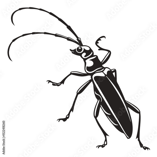 Monochrome Longhorn Beetle With Detailed Antennae Isolated On White BG