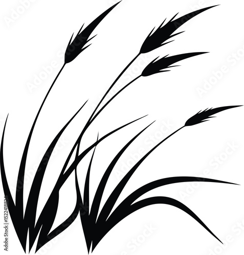 Elegant Black and White Illustration of Wild Grass with Grain Heads