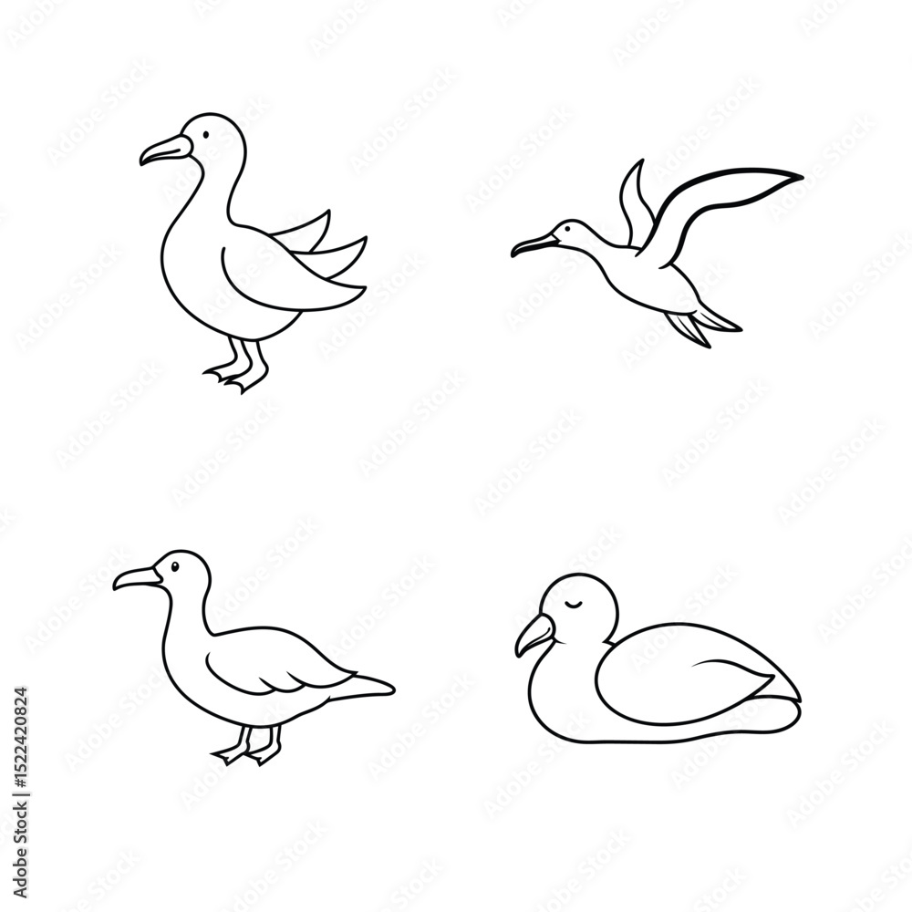 Obraz premium Albatross bird line art set for ocean and seabird nature themes vector illustration.