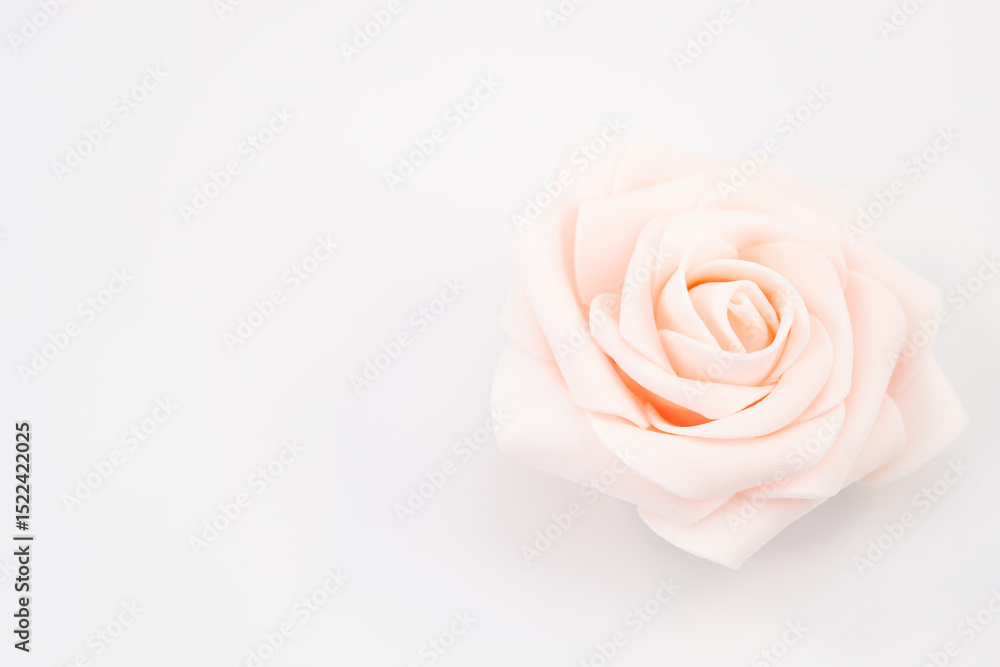 Fototapeta premium primo piano fiore di rosa artificiale in materiale sintetico di un tenue color rosa su fondo bianco