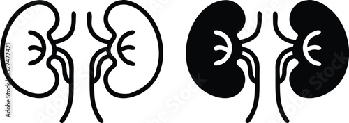 Minimalist Anatomical Kidneys Icon Vector Line Drawing Medical Illustration