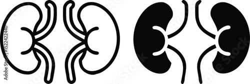 Minimalist Anatomical Kidneys Icon Vector Line Drawing Medical Illustration