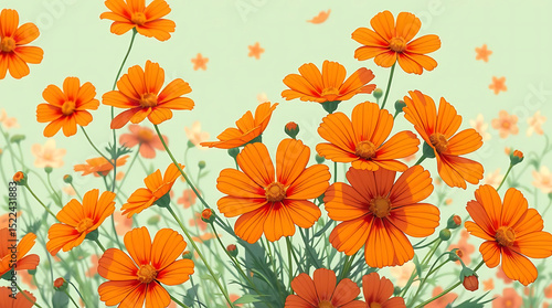 orange flowers cosmos arrangement flat lay postcard style