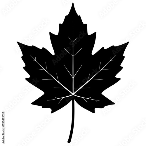 single sycamore leaf with deep lobes and visibl.svg