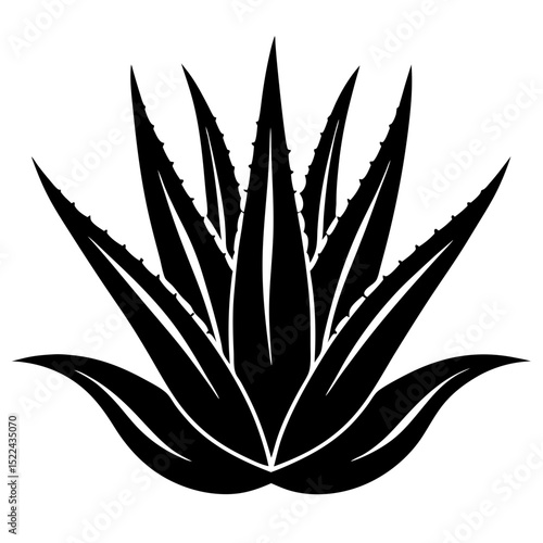 vector silhouette of a plant