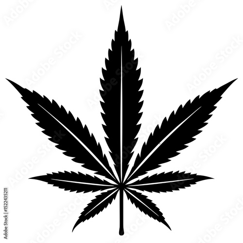  cannabis leaf  vector illustration