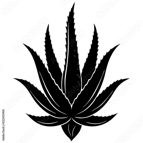 cannabis leaf vector illustration