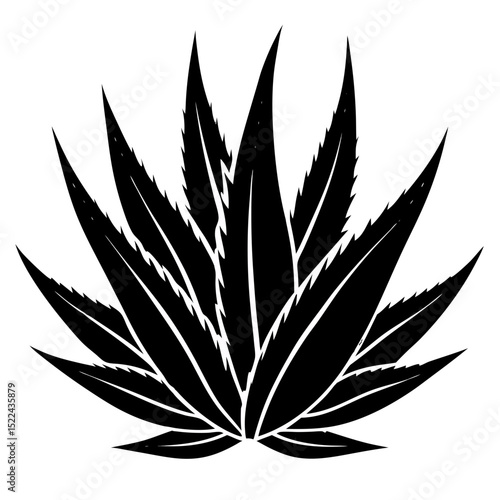 cannabis leaf vector illustration