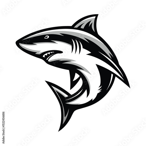 Black and White of a Menacing Shark with Open Mouth, Teeth, and Sharp Fins
