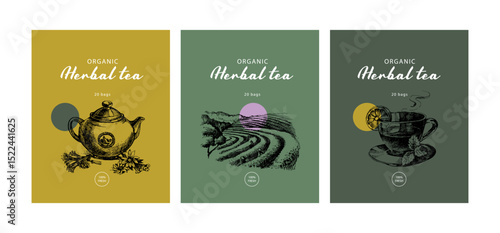 Herbal tea banner set with vintage teapot, cup, herbs, plantation field. Natural eco product. Hand drawn vector illustration