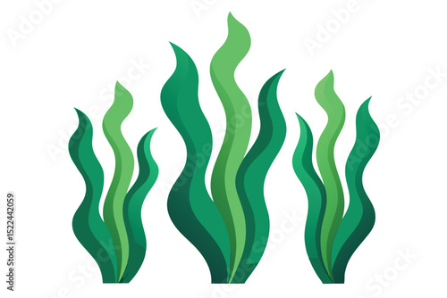 Three Groups of Waving Green Seaweed with Layered Coloration on a White Background