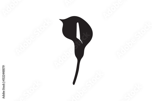 Arum silhouette on white background.01