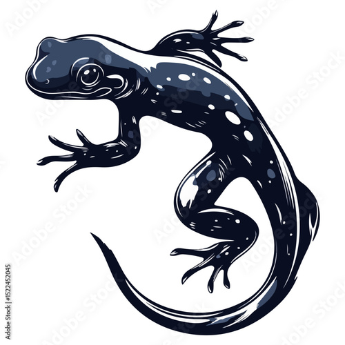 salamander, reptile, vector, transparent background, creature, animal, nature, amphibian, newt, small, isolated, cute, Salamandridae