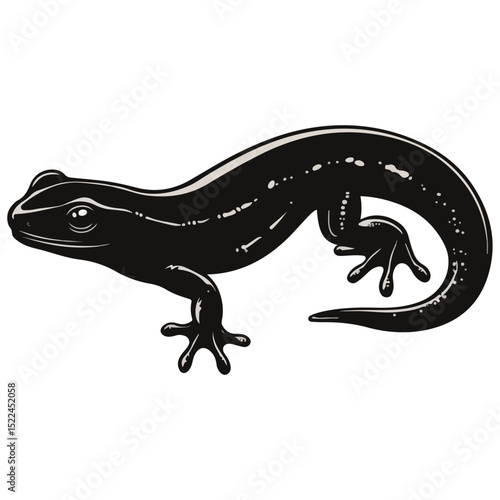 salamander, reptile, vector, transparent background, creature, animal, nature, amphibian, newt, small, isolated, cute, Salamandridae
