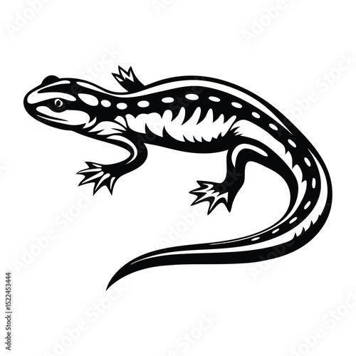 Striking Isolated Black and White Salamander on White Background, Reptile Design