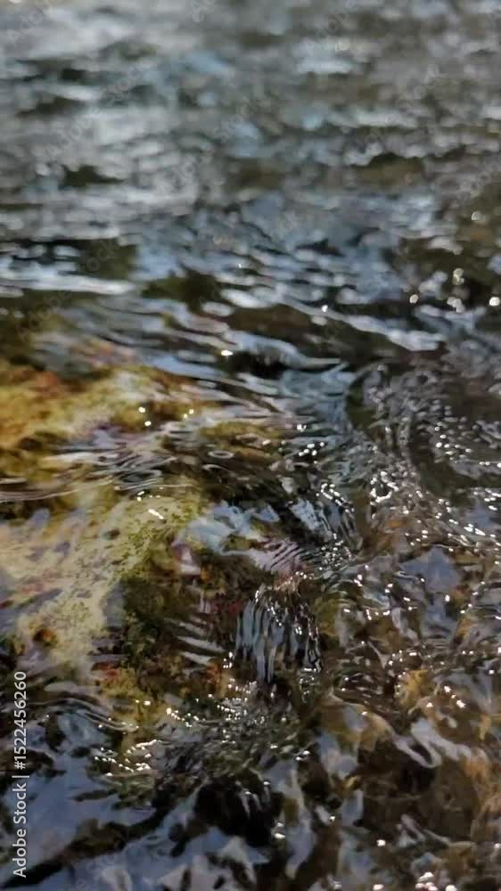Water flowing into the river Water flowing into the river