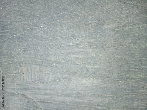 wooden texture background surface of a cut tree stump	