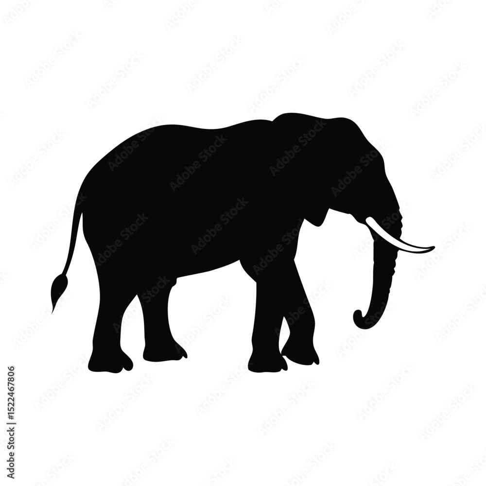 Fototapeta premium Elephant Silhouette Vector design white Background.