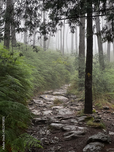 Fotografía serra da labruja, mountain path of the witch, with rocky terrain  along the pilg