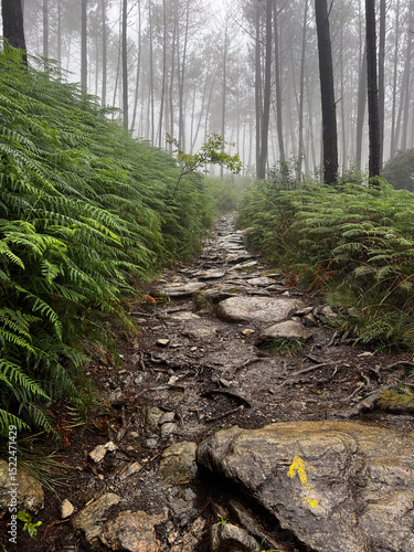yellow arrow showing the way, serra da labruja, mountain path of the witch, with rocky terrain  along the pilgrimage on the road to Santiago in Portugal