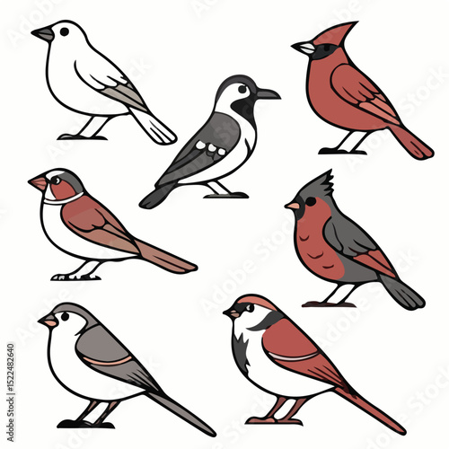 Wallpaper Mural "Colorful Cardinal and Songbird Vector Illustrations"

 Torontodigital.ca