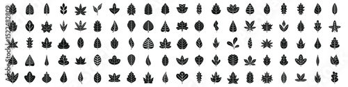 icons set. Different leaf icons representing various tree species, perfect for nature and botany projects