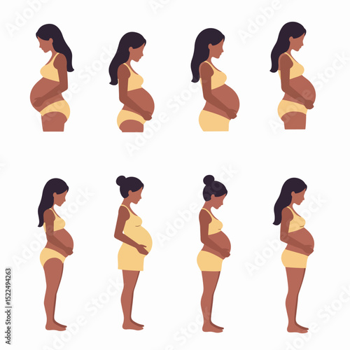 Pregnancy stages, human growth and development phases