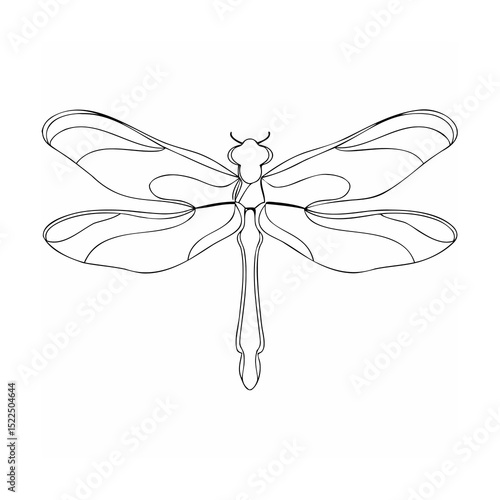 Detailed black and white dragonfly line art illustration on a clean white background