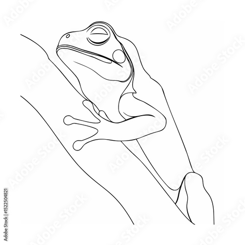 Elegant line drawing of a resting frog clinging to a branch in black and white