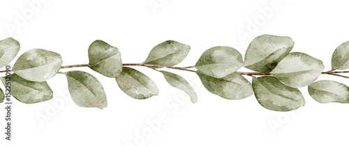 Wallpaper Mural Watercolor seamless Border of Eucalyptus branches in soft pastel green tones. Illustration of botanical Frame for Baby shower greeting cards or wedding invitations. Drawing of frame with leaves. Torontodigital.ca