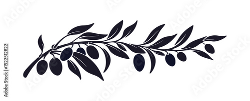 Olive branch emblem, vector fruits. Farm harvest