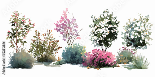 Colorful Assortment of Wildflowers in Full Bloom. Colorful Flowering Plant Arrangement
