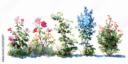 Colorful Assortment of Wildflowers in Full Bloom. Colorful Flowering Plant Arrangement
