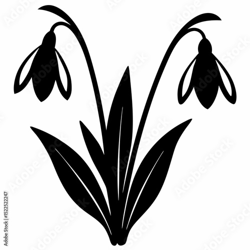 Nivalis Cultivars Including Double Snowdrops Flower Silhouette Isolated on White Background – Minimalist Vector Illustration

