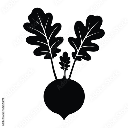 Kohlrabi Stem Silhouette, Vector, Illustration, Icon, Logo, White Background.