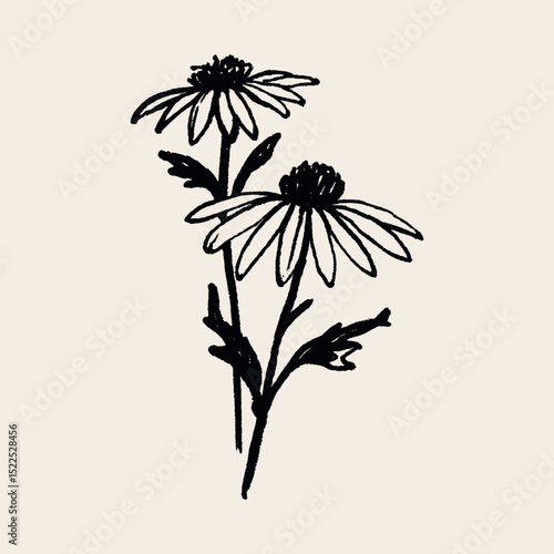 Chamomile flower naive sketch black on white vector illustration

