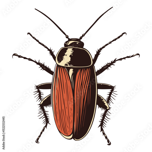 cockroach, insect, animal, vector, transparent background, creature, isolated, roach, nature
