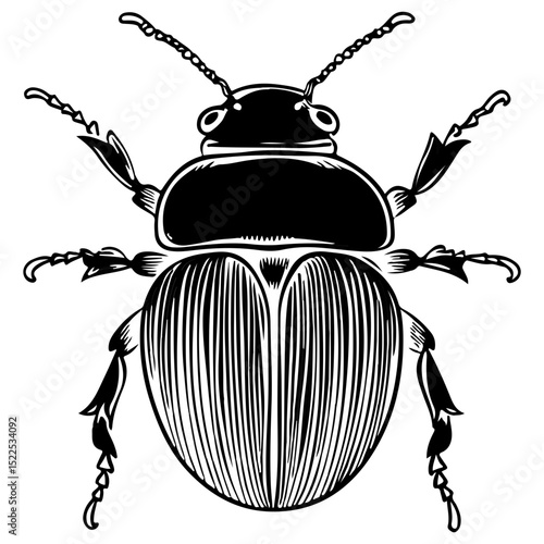 dung beetle, insect, animal, vector, transparent background, creature, isolated, nature, small, icon