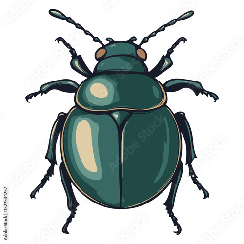 dung beetle, insect, animal, vector, transparent background, creature, isolated, nature, small, icon
