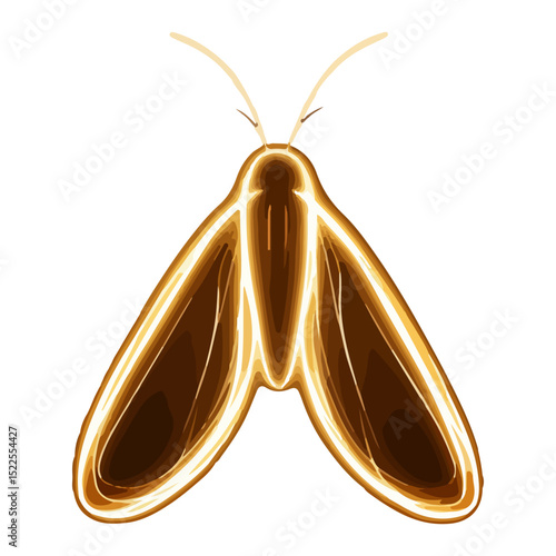 firefly, insect, animal, vector, transparent background, creature, lampyridae, nature, isolated, wing, beauty, colorful, beautiful