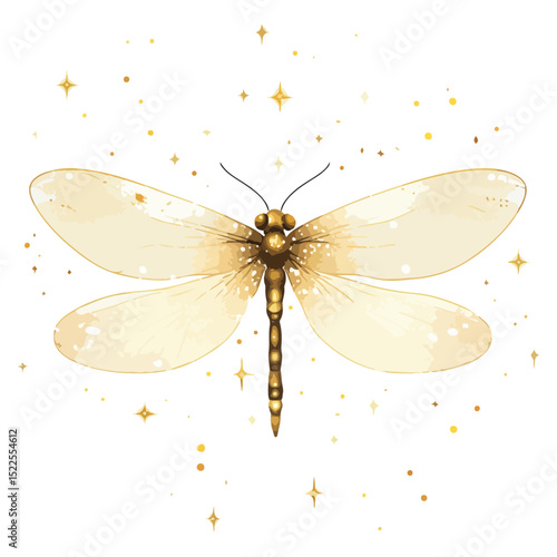 firefly, insect, animal, vector, transparent background, creature, lampyridae, nature, isolated, wing, beauty, colorful, beautiful